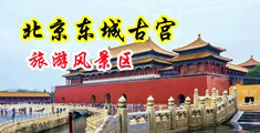 大鸡巴操进小骚逼视频中国北京-东城古宫旅游风景区
